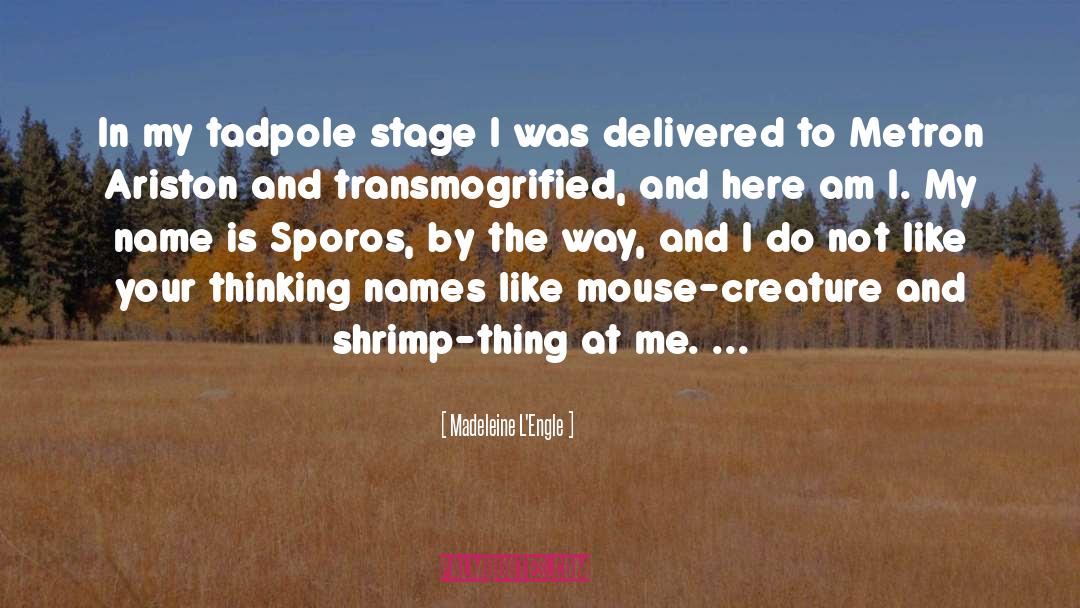 Mouse quotes by Madeleine L'Engle