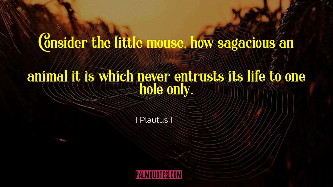 Mouse Traps quotes by Plautus