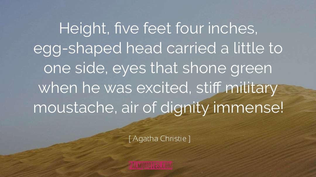 Moustache quotes by Agatha Christie