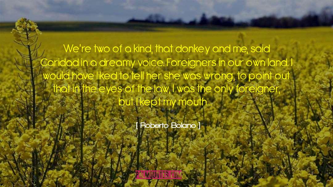 Mouth Organ quotes by Roberto Bolano