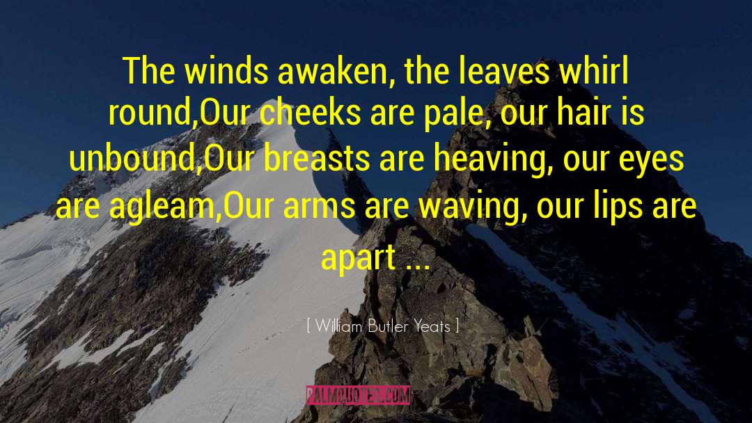 Moved Apart quotes by William Butler Yeats