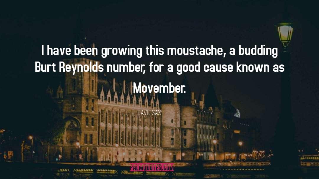 Movember quotes by David Sax
