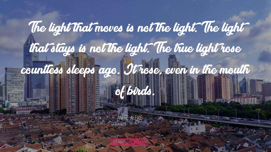 Moves quotes by Andre Alexis