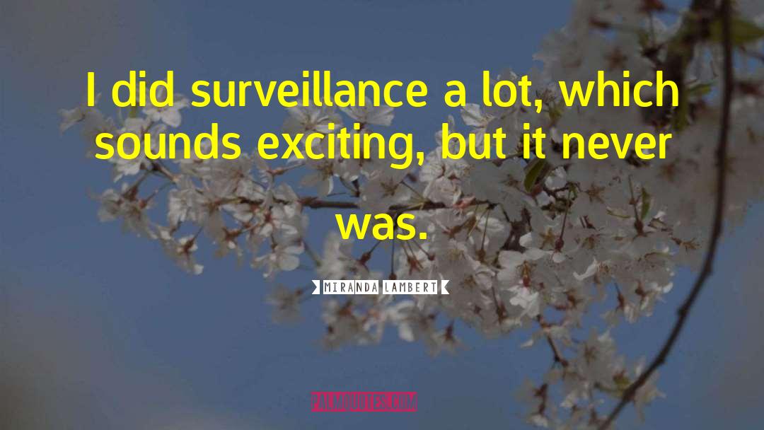 Movie Surveillance quotes by Miranda Lambert