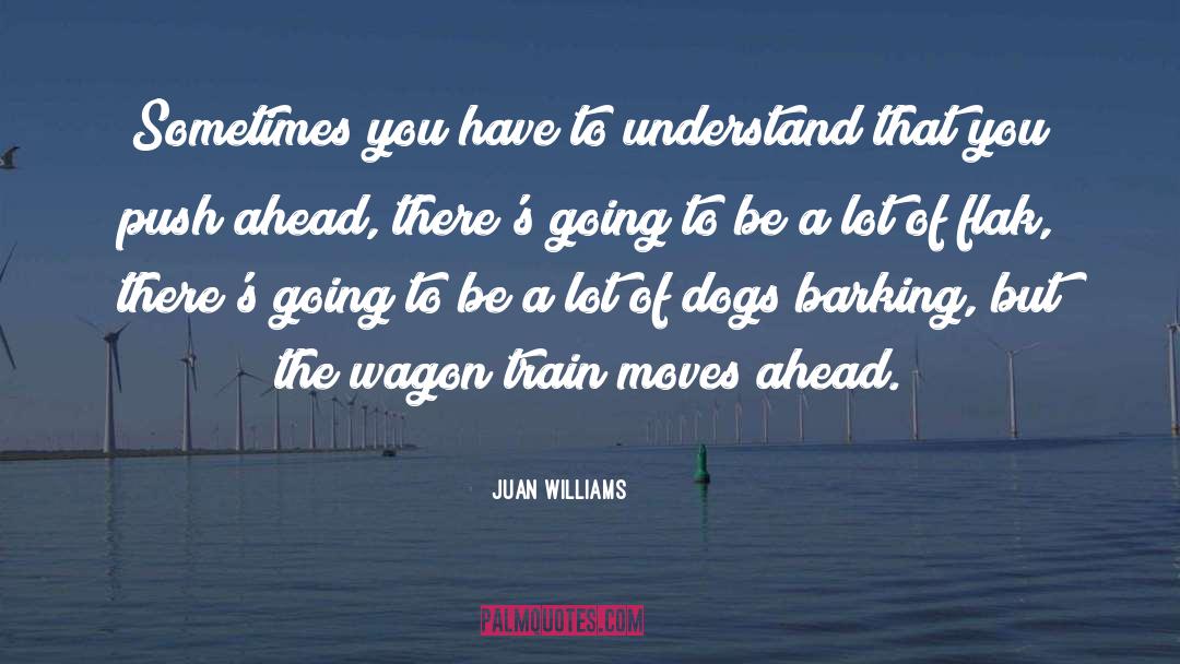 Moving Ahead quotes by Juan Williams