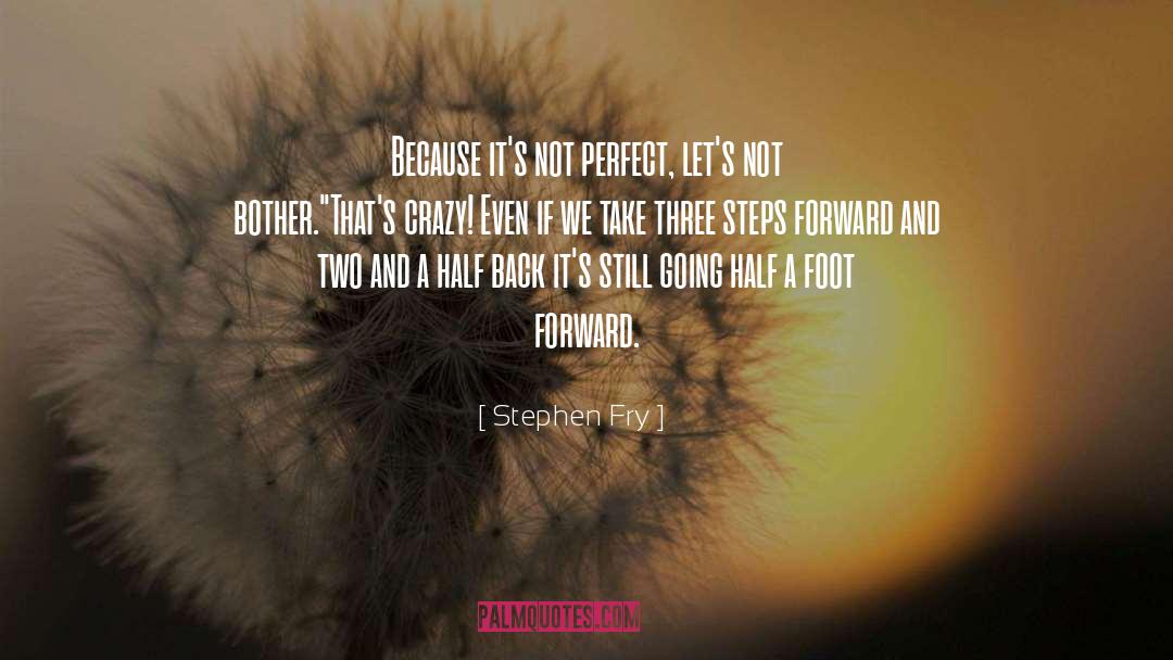 Moving Forward quotes by Stephen Fry