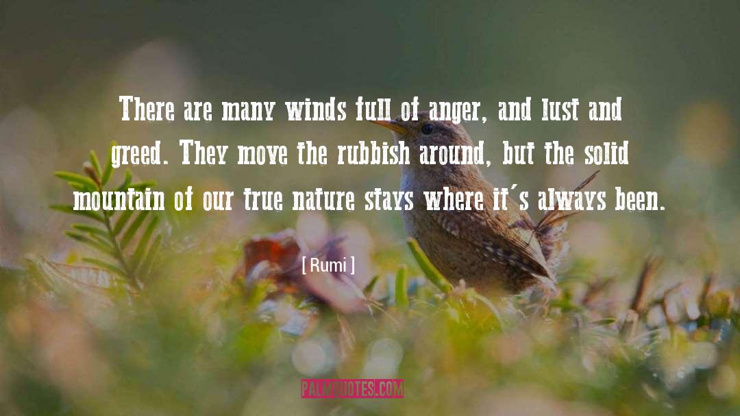 Moving Out quotes by Rumi