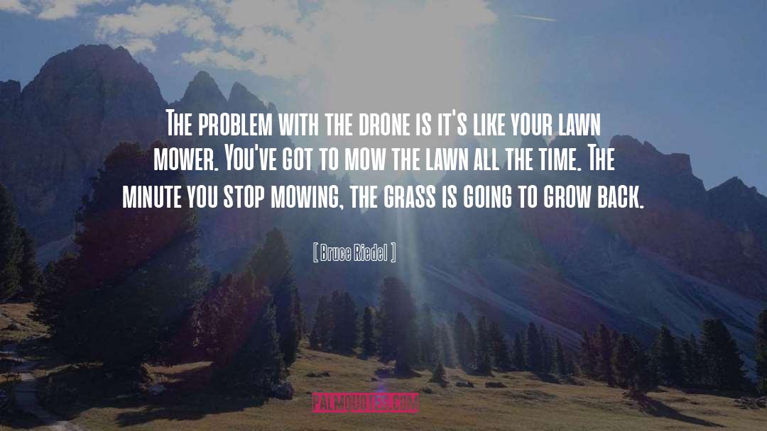 Mowing quotes by Bruce Riedel