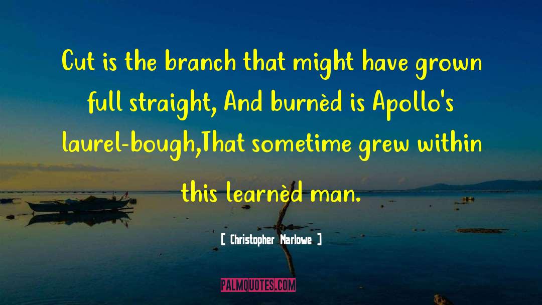 Mr Bough quotes by Christopher Marlowe