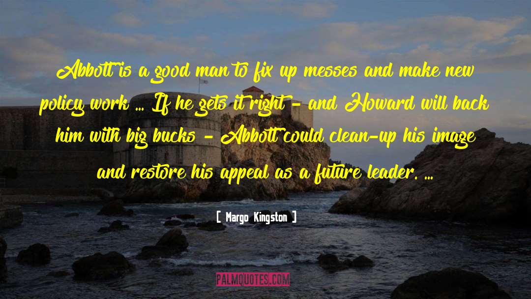 Mr Clean quotes by Margo Kingston