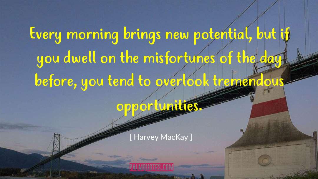 Mr Harvey quotes by Harvey MacKay