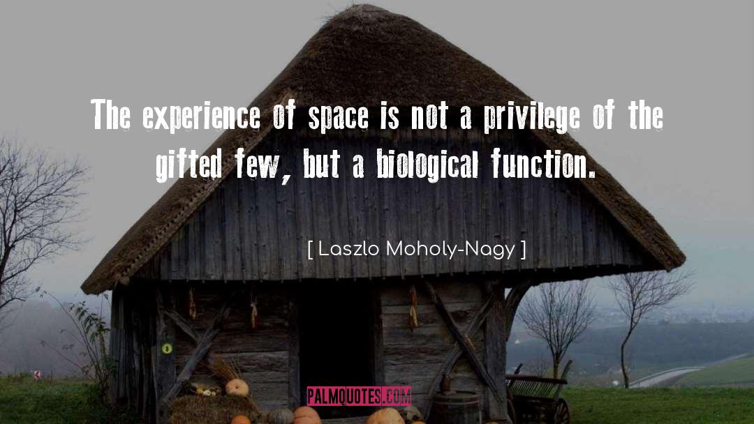 Mr Nagy quotes by Laszlo Moholy-Nagy
