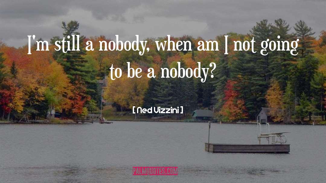 Mr Nobody From Nowhere Gatsby quotes by Ned Vizzini