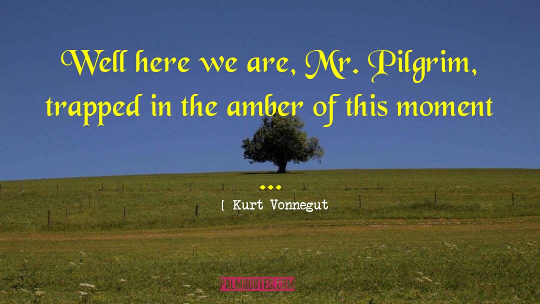Mr Pilgrim quotes by Kurt Vonnegut