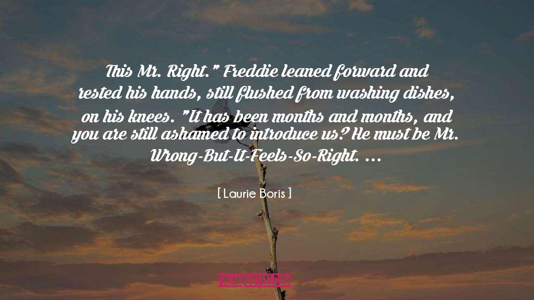 Mr Right quotes by Laurie Boris