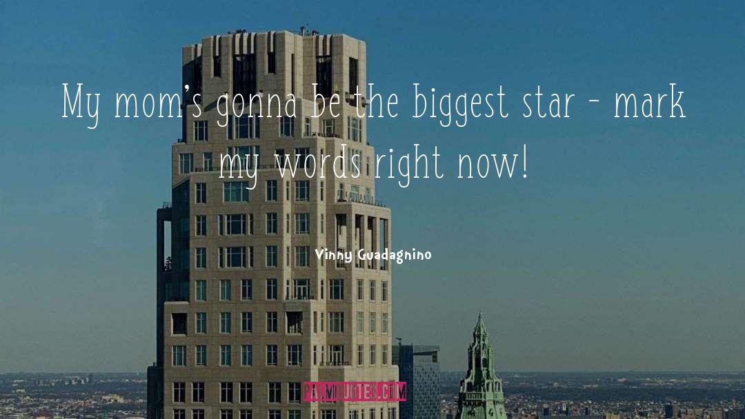 Mr Right quotes by Vinny Guadagnino