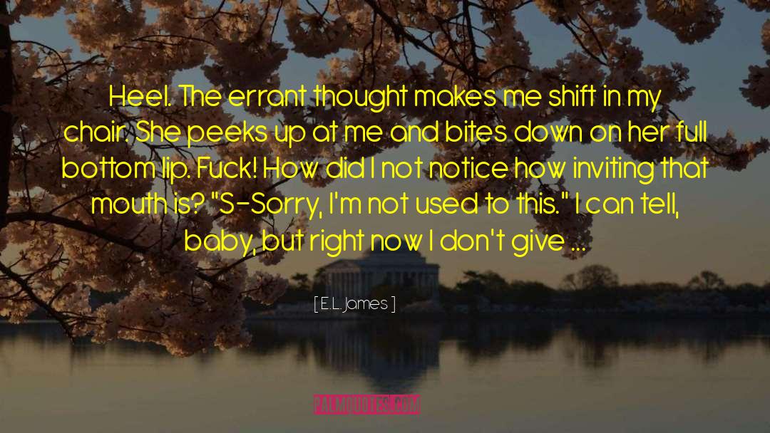 Mr Right quotes by E.L. James