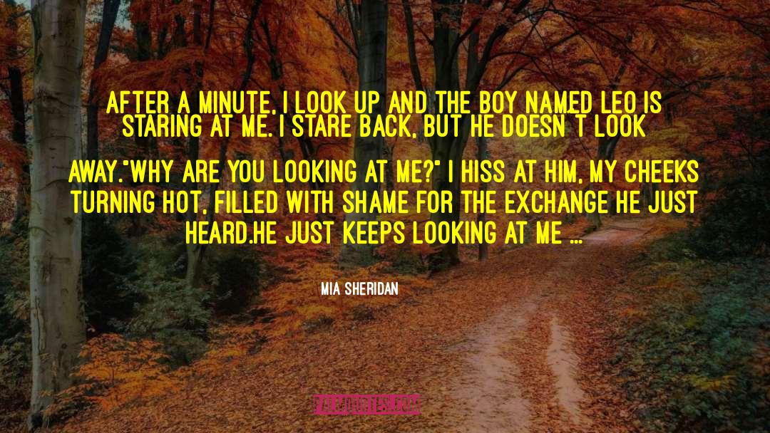 Mr Sheridan quotes by Mia Sheridan