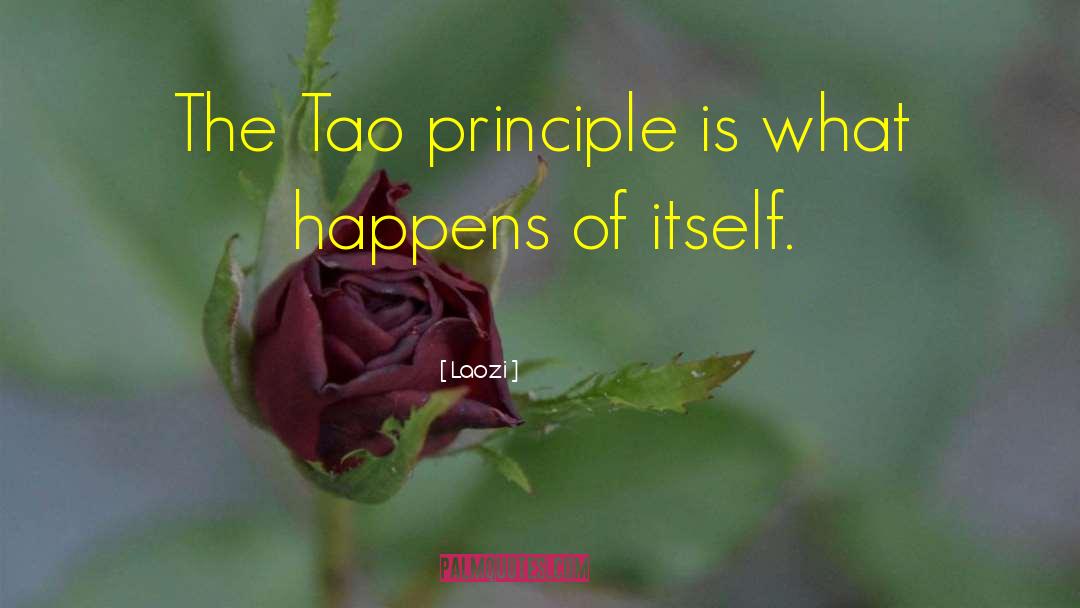Mr Tao quotes by Laozi