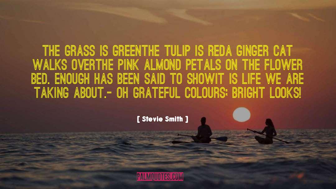 Mr Tulip quotes by Stevie Smith