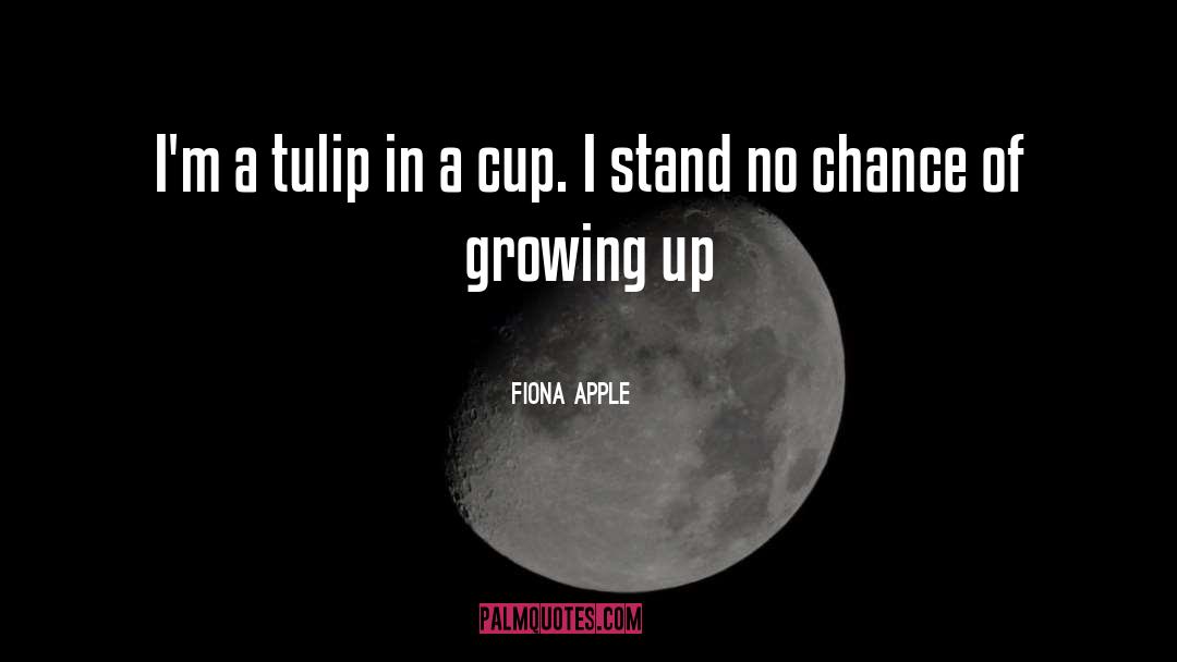Mr Tulip quotes by Fiona Apple