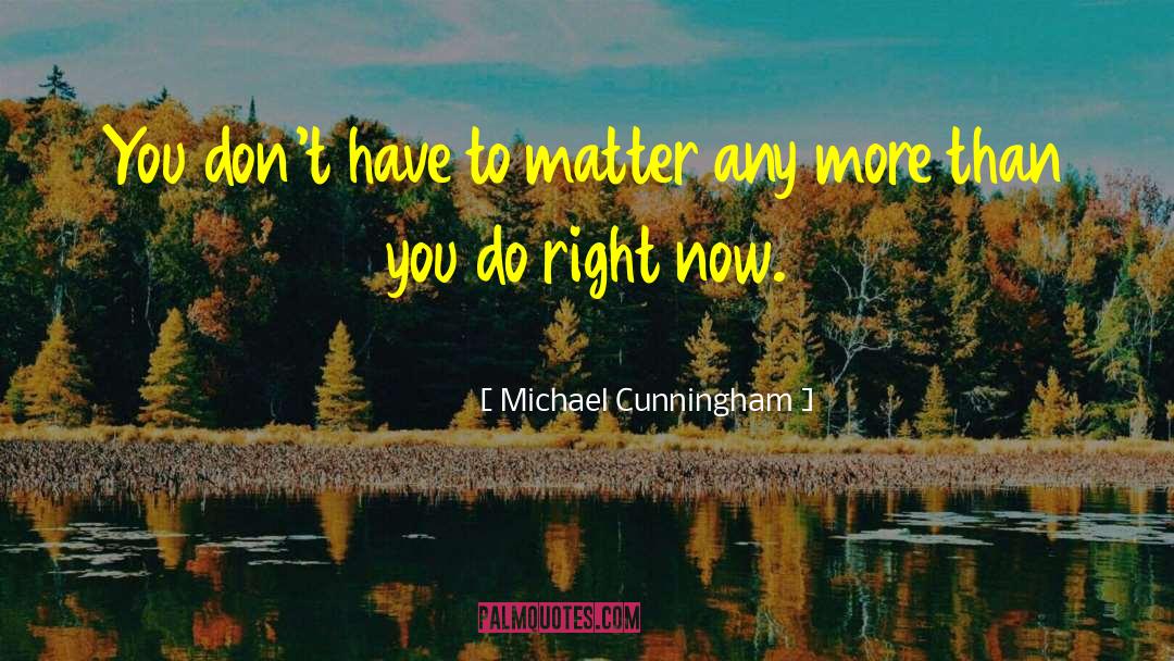 Mr Walter Cunningham quotes by Michael Cunningham