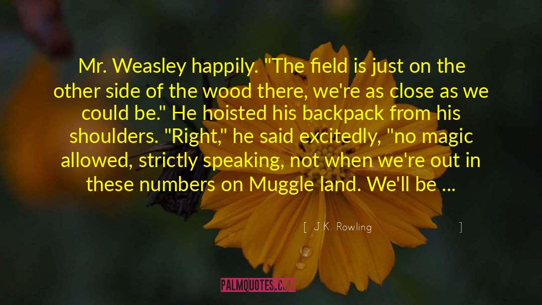 Mr Weasley quotes by J.K. Rowling