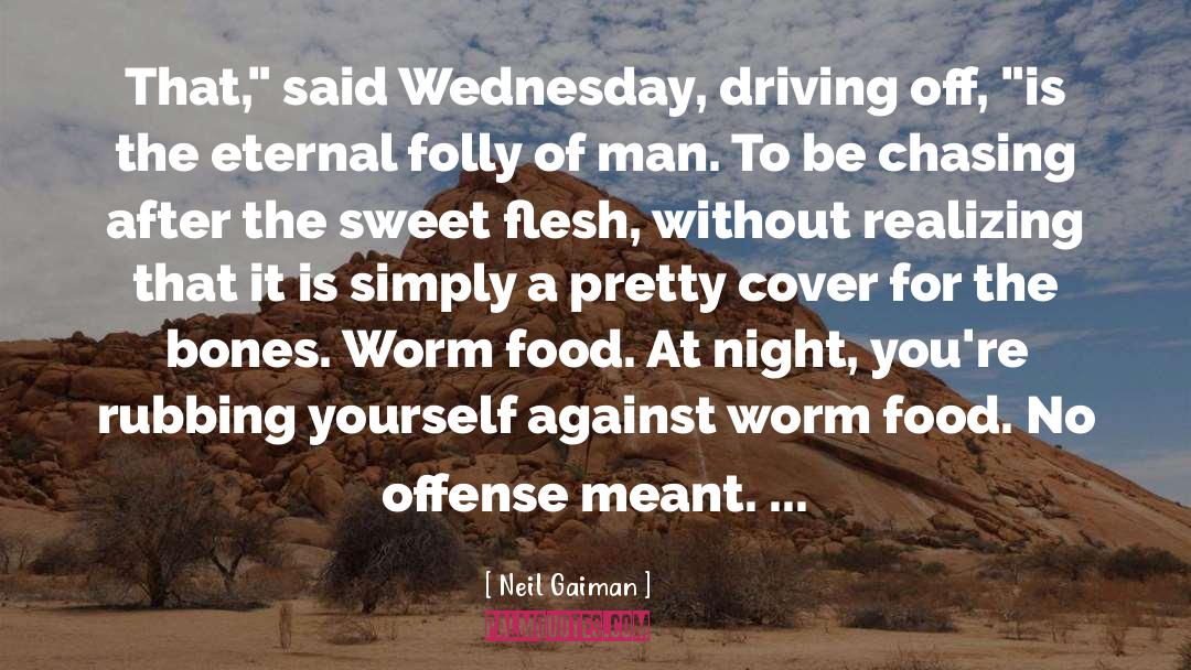 Mr Wednesday quotes by Neil Gaiman