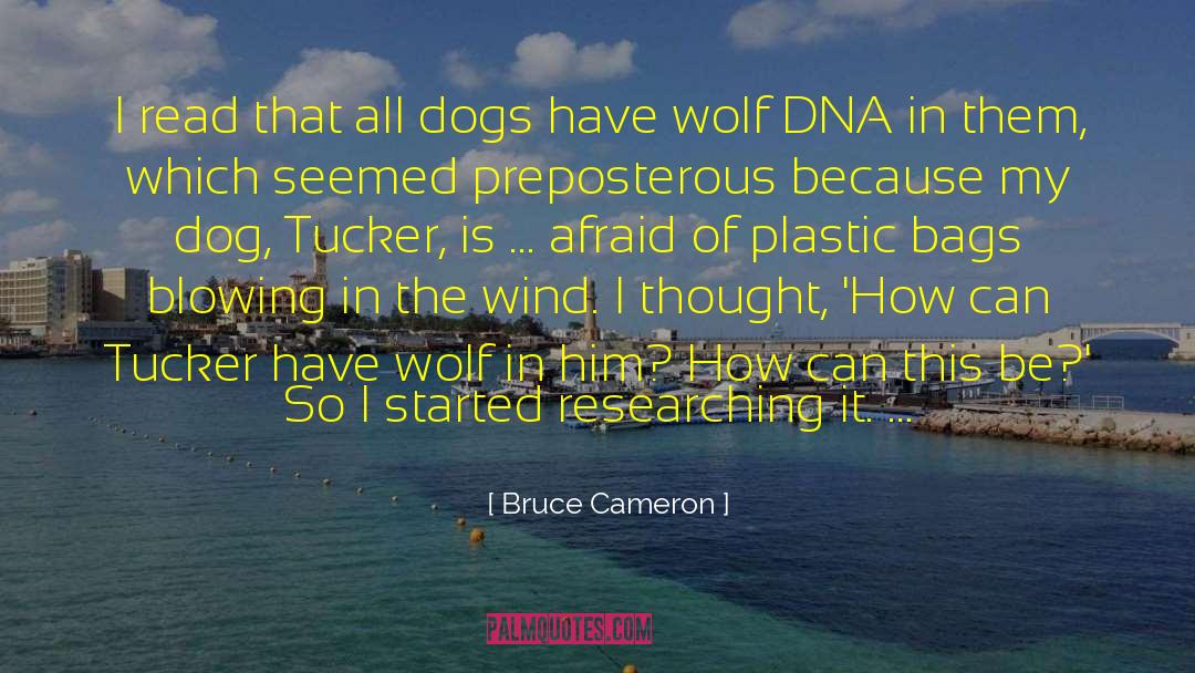 Mr Wolf quotes by Bruce Cameron