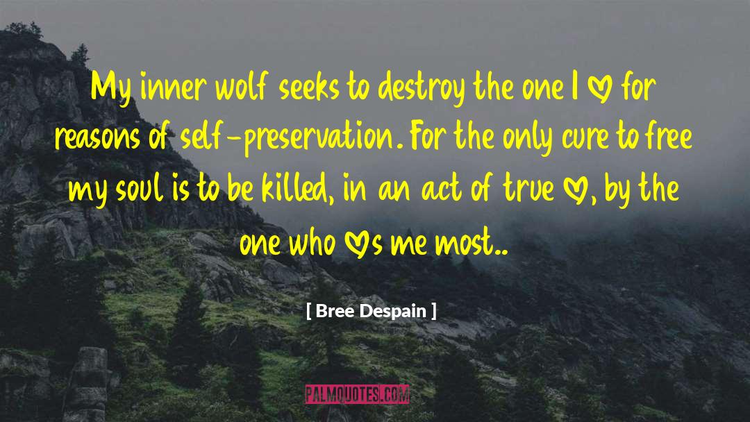 Mr Wolf quotes by Bree Despain