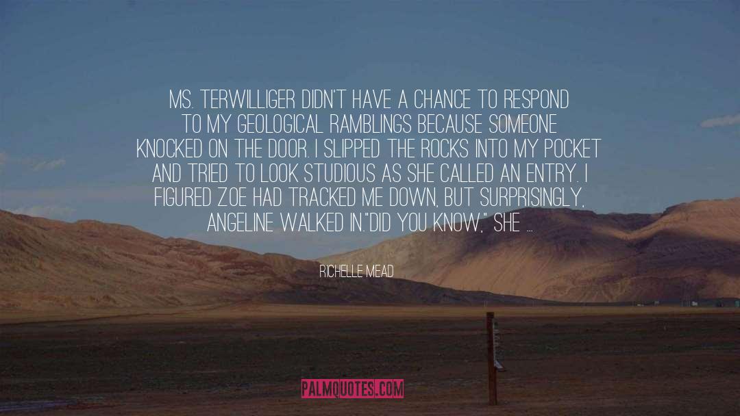 Mrs Terwilliger quotes by Richelle Mead