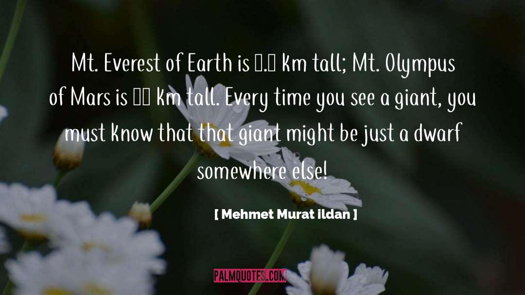 Mt Everest quotes by Mehmet Murat Ildan