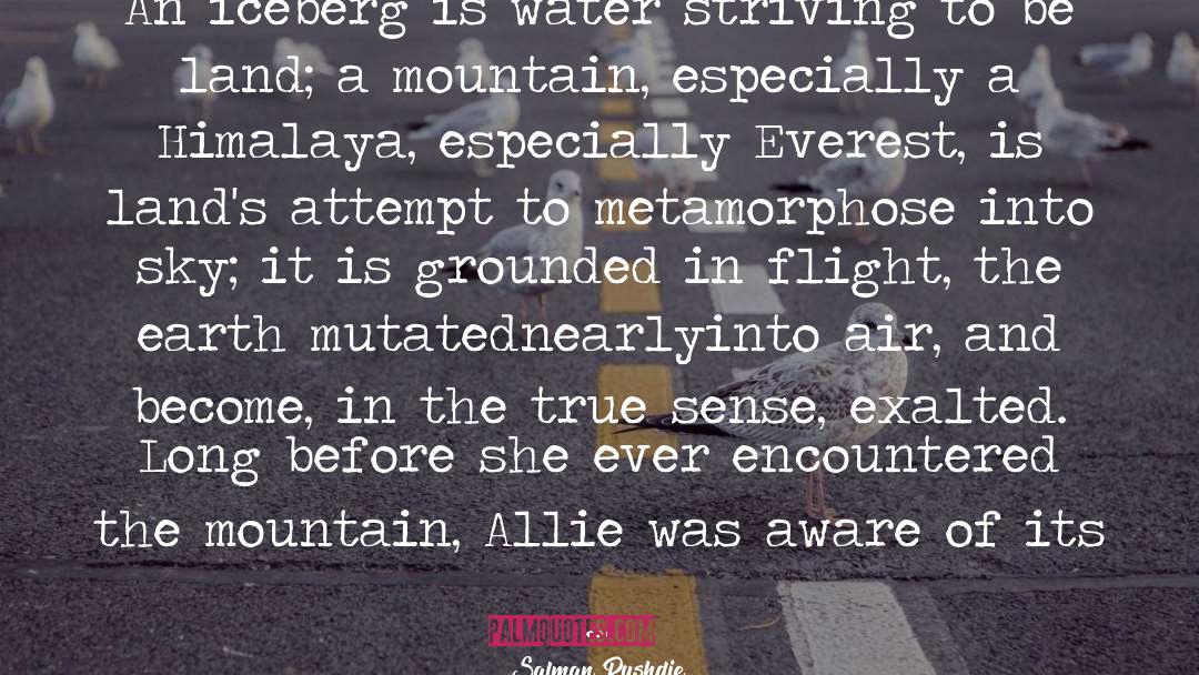 Mt Everest quotes by Salman Rushdie