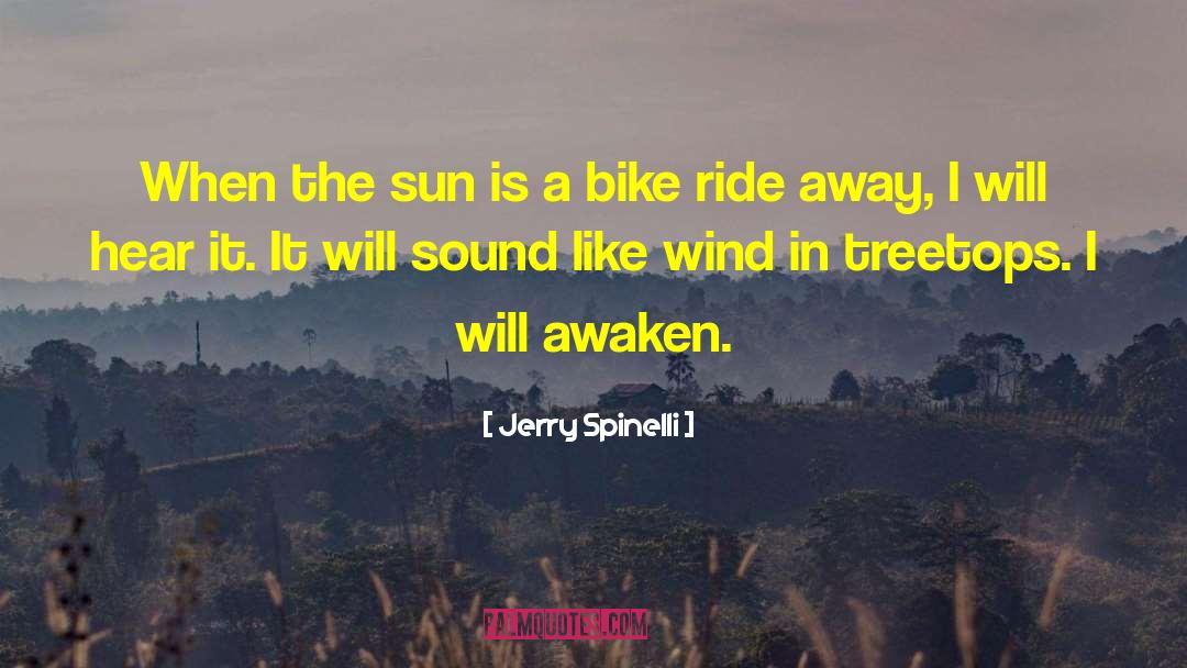 Mtb Bike quotes by Jerry Spinelli