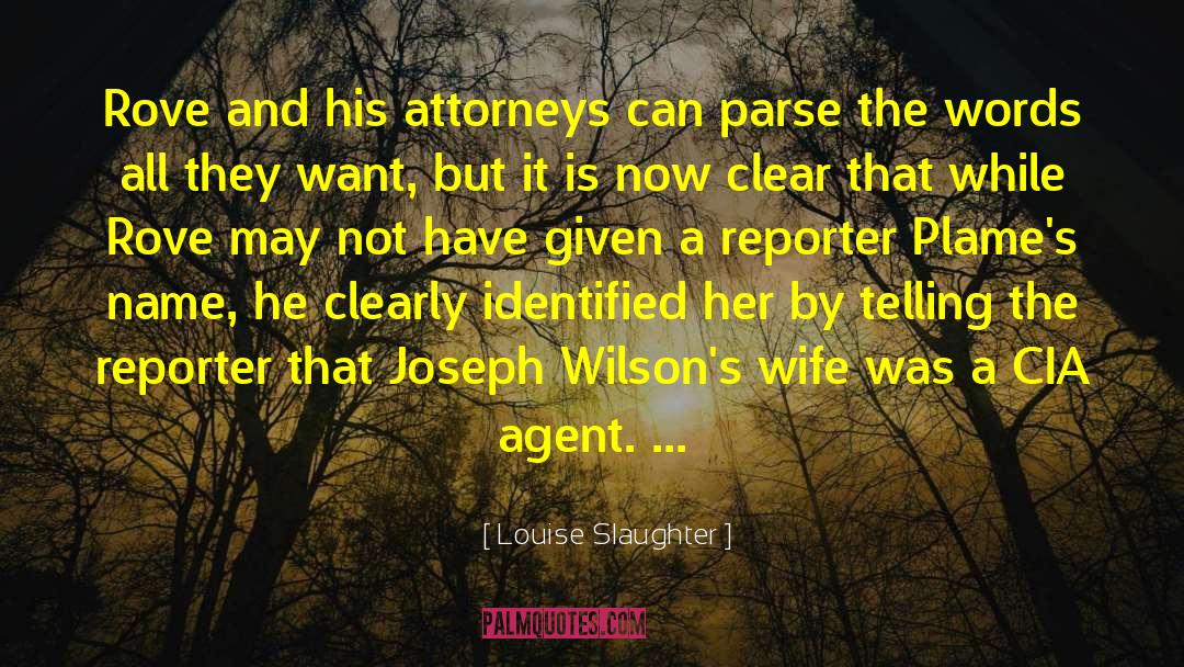 Mthimkhulu Attorneys quotes by Louise Slaughter