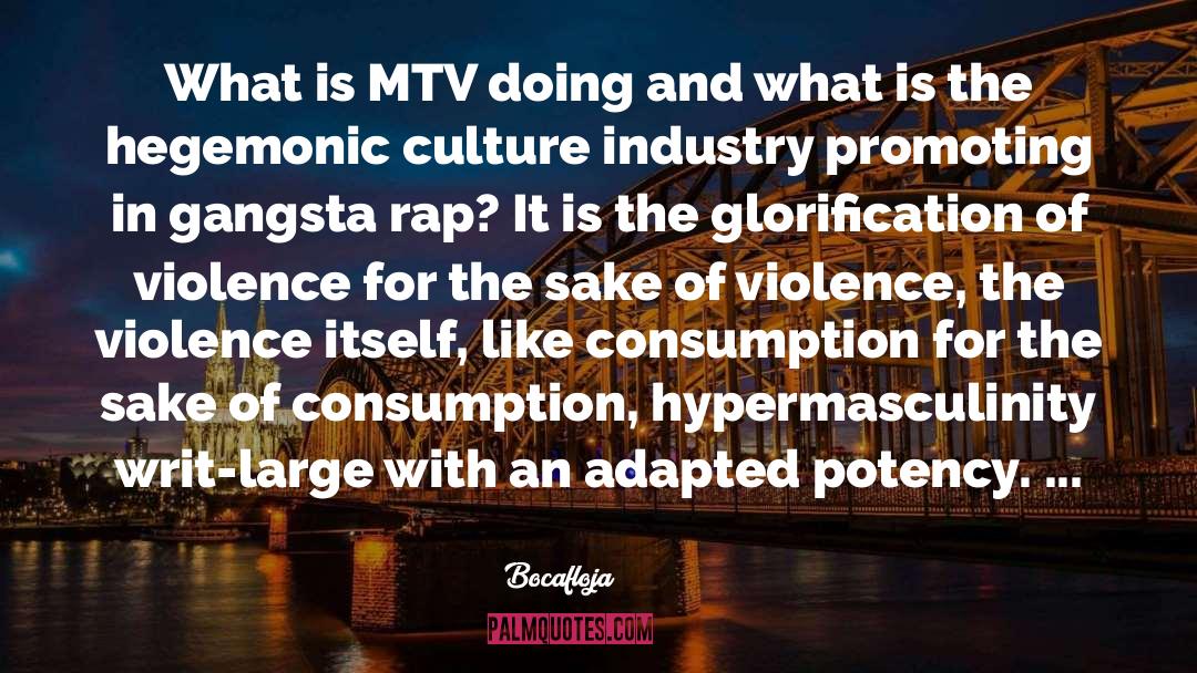 Mtv quotes by Bocafloja