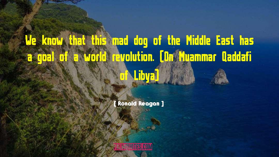 Muammar Gaddafi quotes by Ronald Reagan