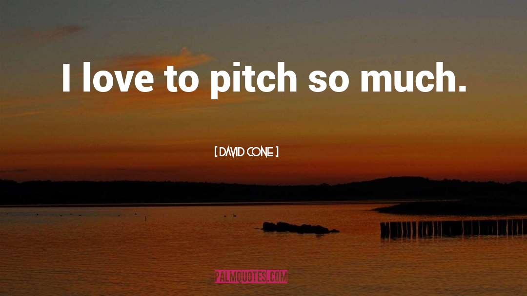 Much Love quotes by David Cone