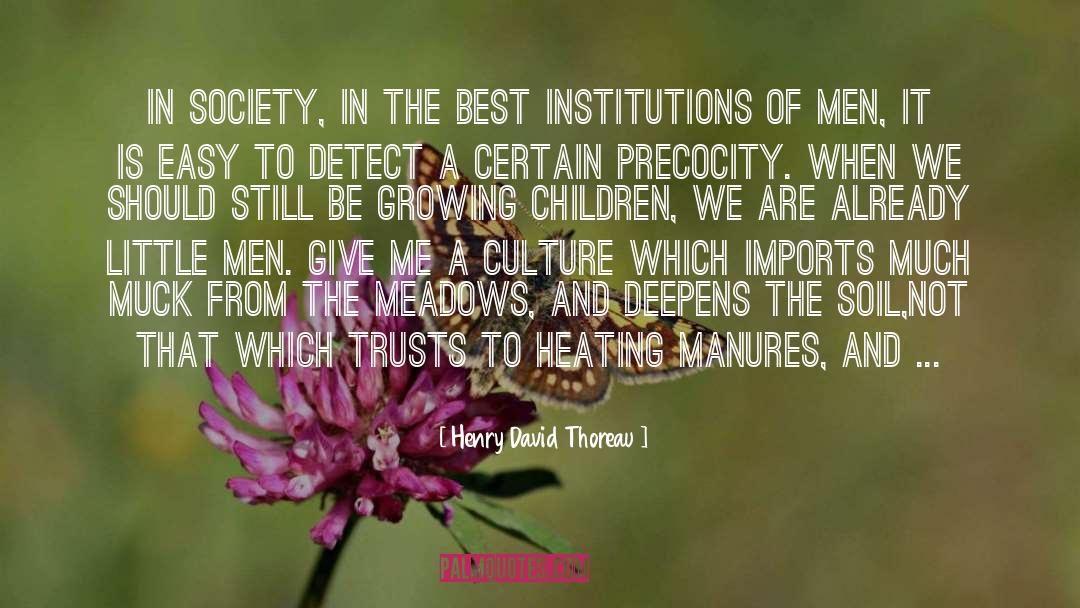 Muck quotes by Henry David Thoreau