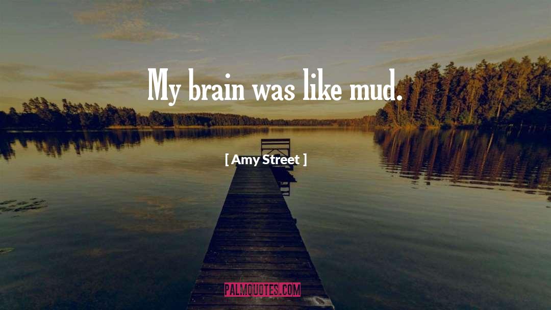 Mud Huts quotes by Amy Street