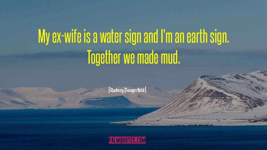 Mud Huts quotes by Rodney Dangerfield