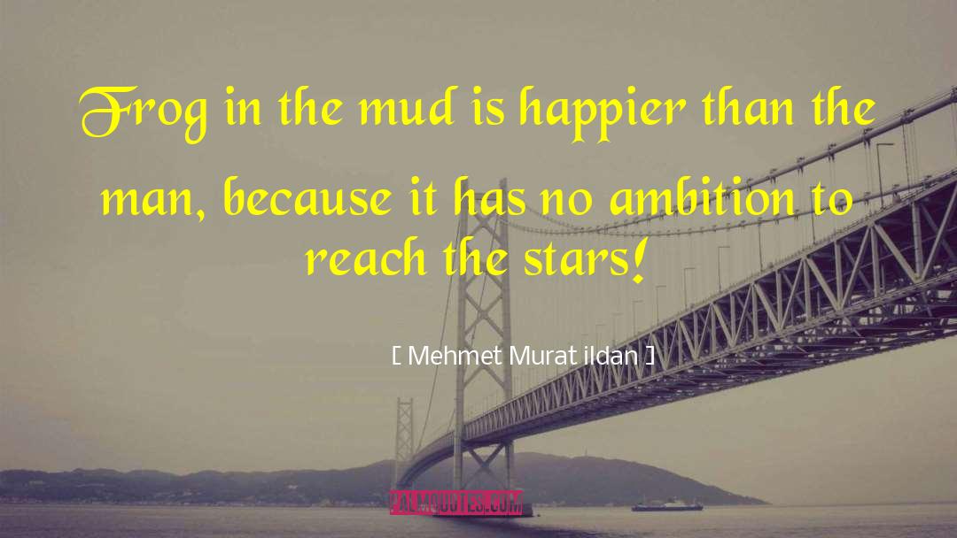 Mud Pies quotes by Mehmet Murat Ildan