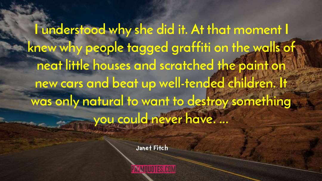 Mudded Walls quotes by Janet Fitch