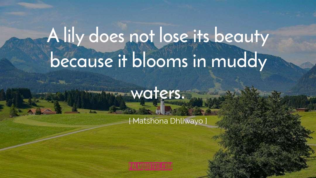 Muddy quotes by Matshona Dhliwayo