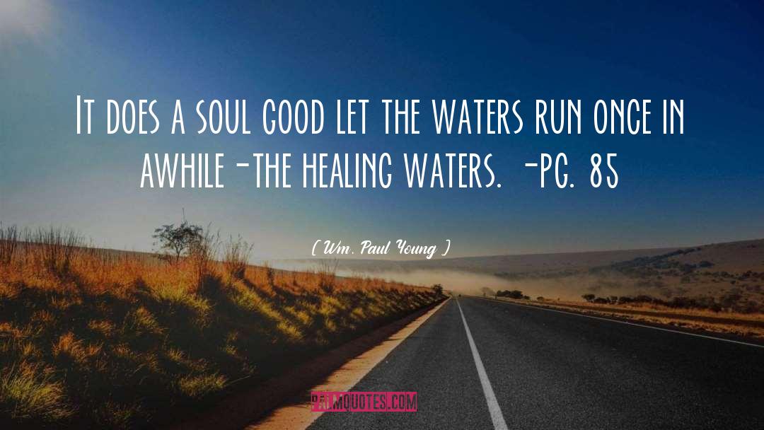 Muddy The Waters quotes by Wm. Paul Young
