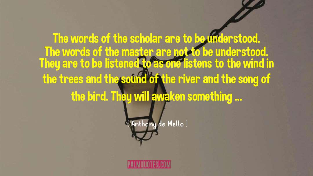 Muffling Sound quotes by Anthony De Mello