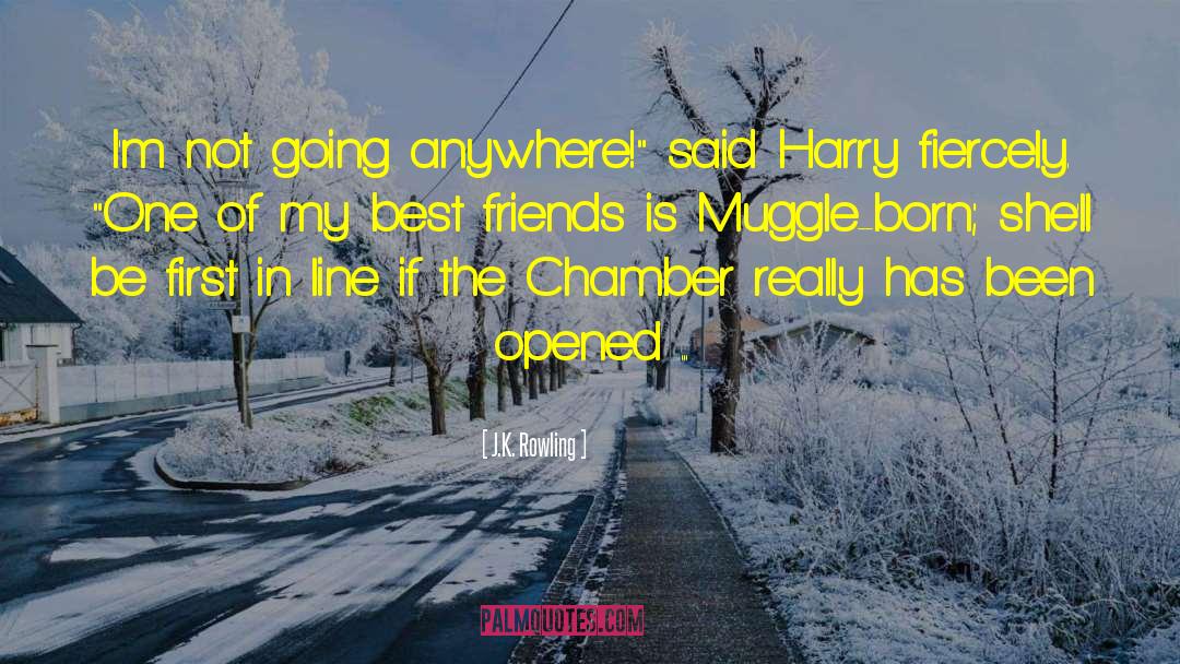 Muggle Born quotes by J.K. Rowling