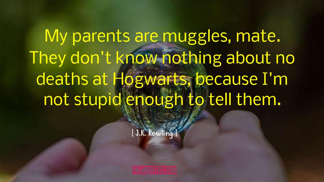 Muggles quotes by J.K. Rowling