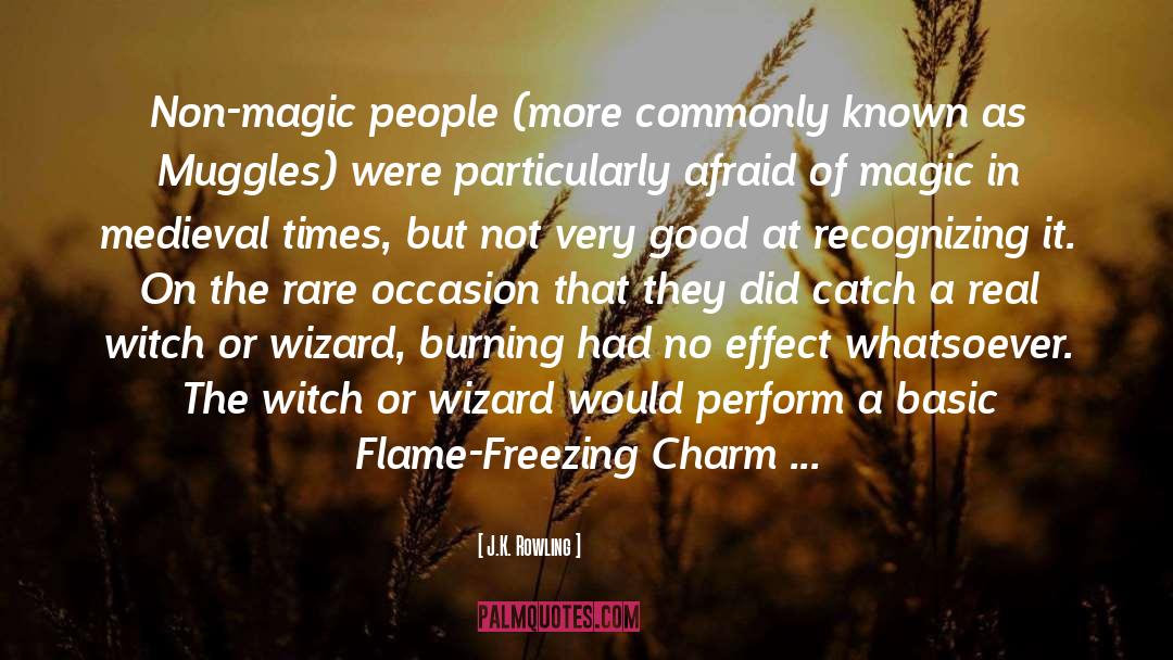 Muggles quotes by J.K. Rowling