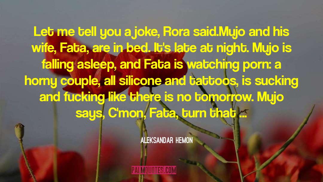 Mujo quotes by Aleksandar Hemon